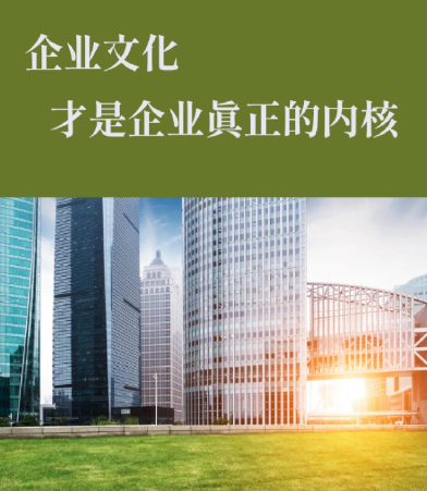 企业小程序开发与软件定制服务的差异化选择要点分析